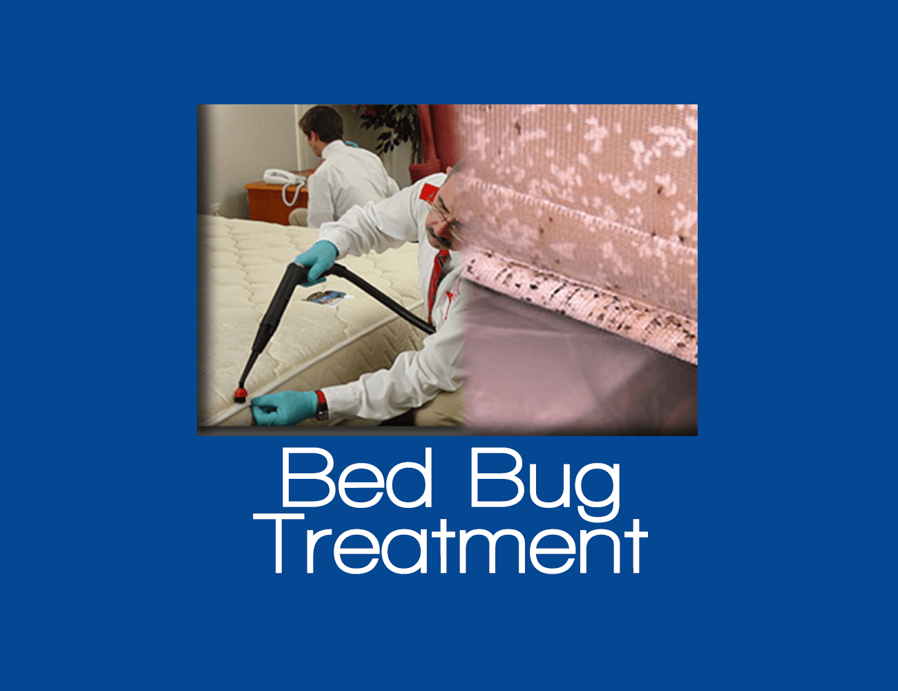 Bed Bug Treatment 