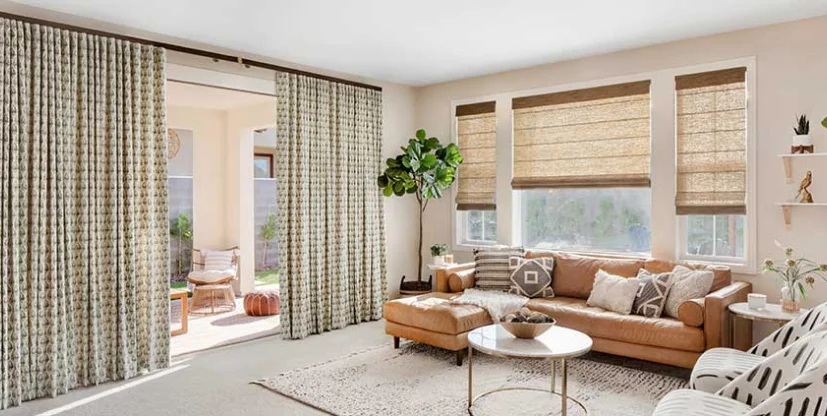 Bed Bug Treatment Process