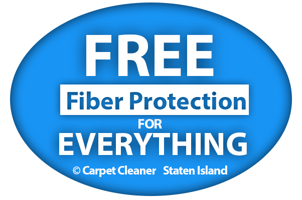 Free fiber protection with any carpet or rug cleaning