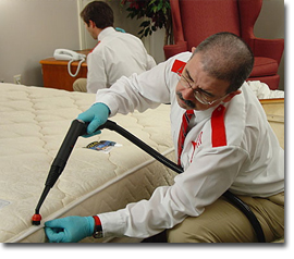 Bed Bug Treatment in Staten Island