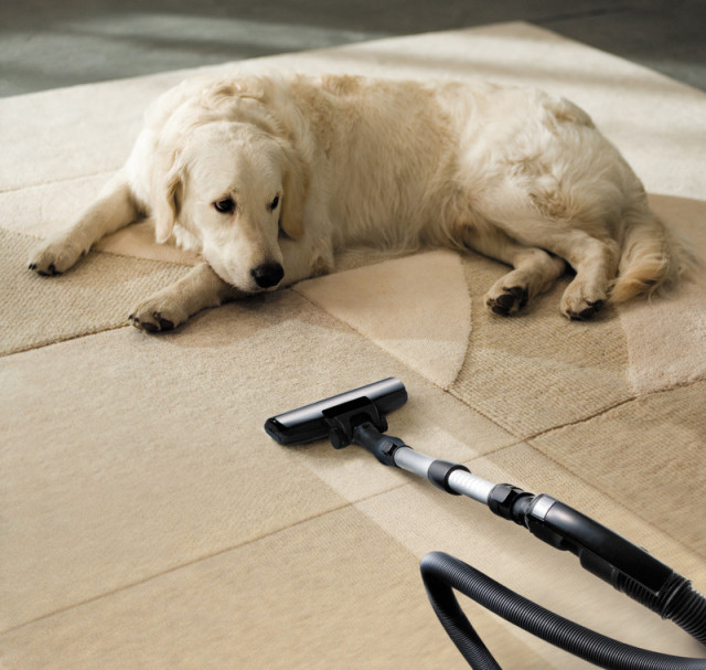 Carpet odor removal